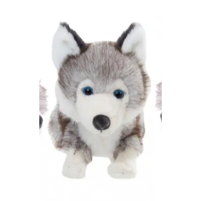 BukowskiBearsBabyHusky