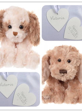 国内现货 英国正品11.06 bukowski bears泰迪狗狗玩偶小红书同款