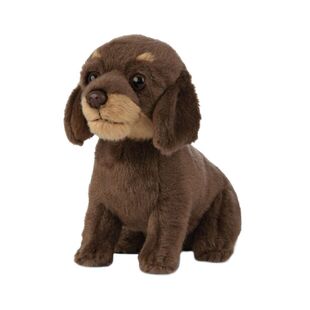 英国代购正品12.31 Living Nature Dachshund Puppy  腊肠犬小狗