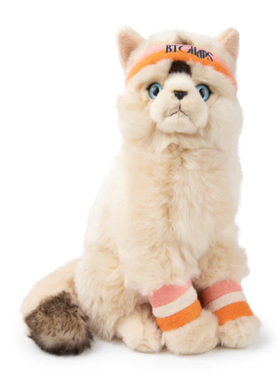 英国代购正品09.11 Bon Ton Toys - Dolly The Ragdoll 多莉猫咪