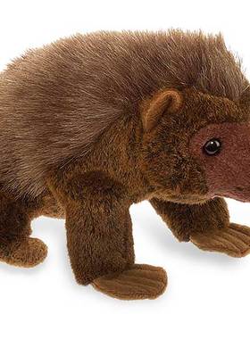 英国代购正品01.02 Cuddlekins Hedgehog 卡德金刺猬 毛绒玩偶