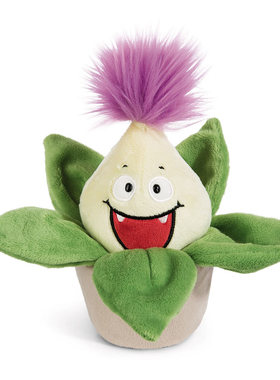 英国代购正品12.24 Funny Flowers Willibald Aloe 趣味芦荟 盆栽