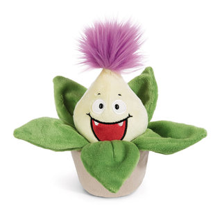 Funny Flowers Willibald 英国代购 趣味芦荟 12.24 Aloe 盆栽 正品