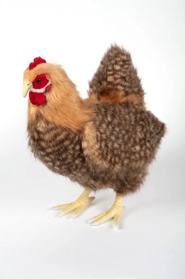 英国代购正品03.30 Hansa 4588 Hen Beige 萌宠母鸡 仿真毛绒玩具