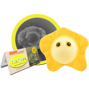 英国代购正品02.28 Giant Microbes Herpes 教育辅材 疱疹病菌