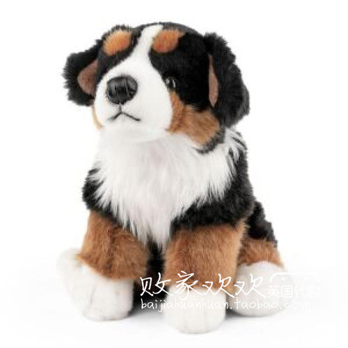 BerneseMountainDog