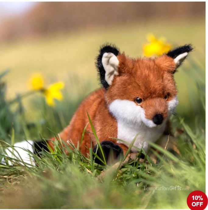 AuroraBorealisFlynnFox