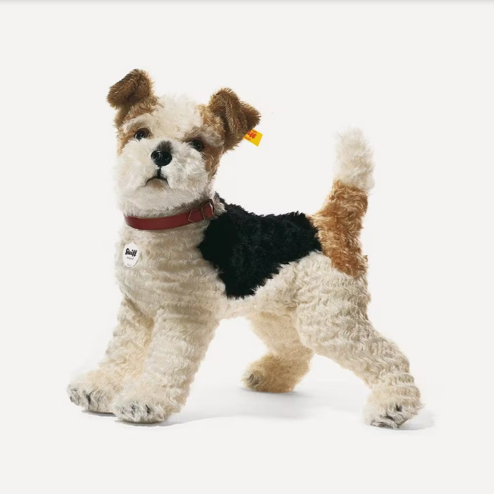 SteiffFoxyFoxTerrier