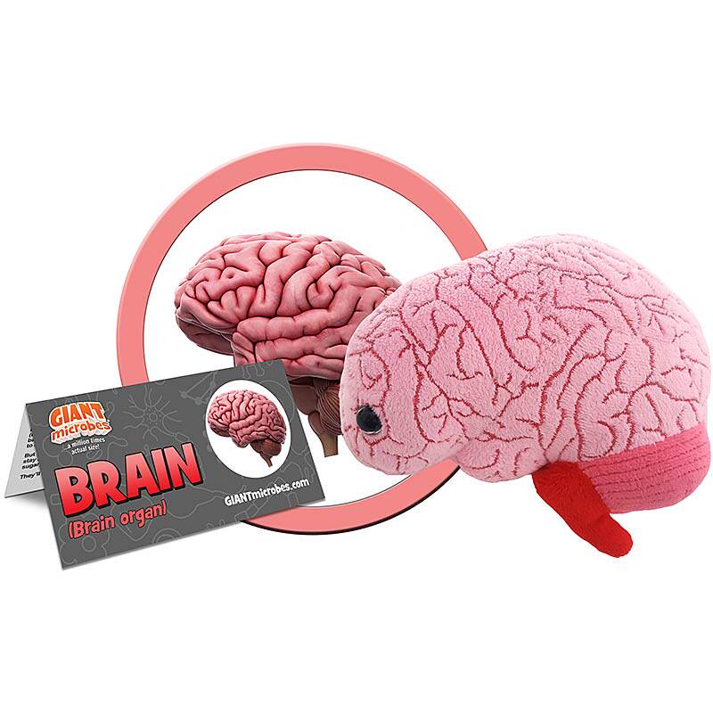 GiantMicrobesBrain