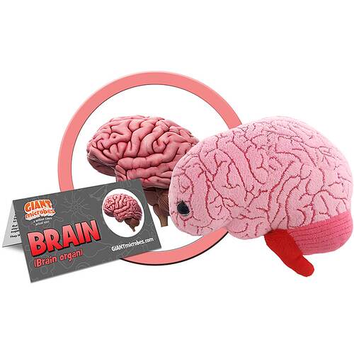 GiantMicrobesBrain
