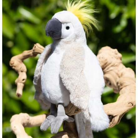 英国代购正品07.24 Bukowski Bears Mango Parrot仿真芒果鹦鹉