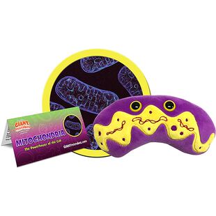 英国代购正品02.28 Giant Microbes Mitochondria教育辅材 线粒体
