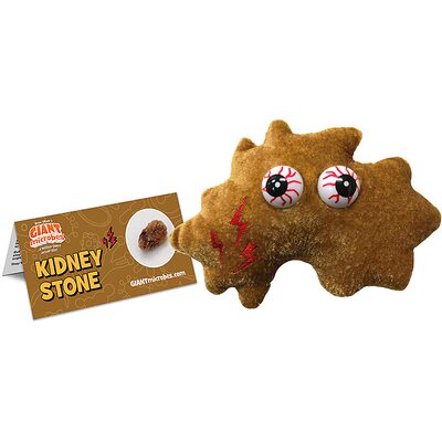 GiantMicrobesKidneyStone