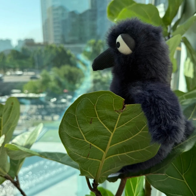 JellycatHocusCrow惑克斯乌鸦