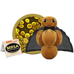 英国代购正品02.28 Giant Microbes MRSA 教育辅材 黄色葡萄球菌