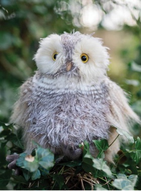 英国代购正品11.20 Wrendale Plush Elvis Owl  毛绒猫头鹰 大号