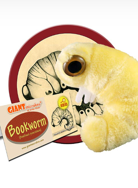 英国代购正品12.22 Bookworm 抽象虫子 生物虫 毛绒玩偶