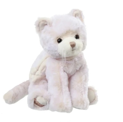 BukowskiCuteCatty可爱猫咪