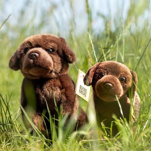 英国代购正品12.31 Living Nature Chocolate Dog拉布拉多犬