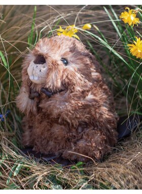 英国代购正品10.22 Chester Beaver, Soft Plush Toy 土拨鼠 玩偶