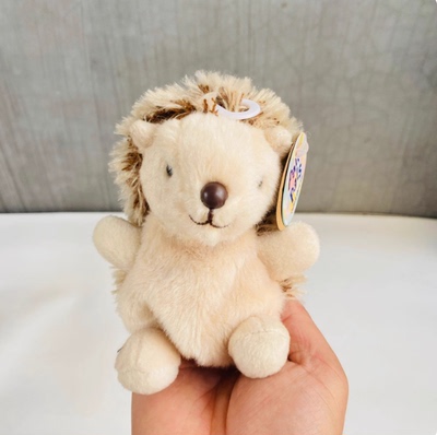 PalmPalsHedgieHedgehogs