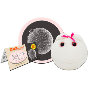 正品 巨型微生物卵细胞 12.22 Cell 教育辅助毛绒玩偶 Egg 英国代购