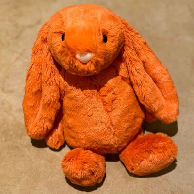 国内现货秒！05.10正品 jellycat  Tangerine Bunny柑橘色邦尼兔