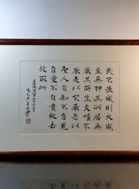 民不畏威则大威至无狎其所居无厌其所生道德经书法真迹花梨木框