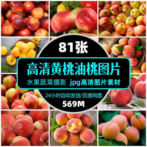 高清水果蔬菜黄桃油桃图片jpg餐饮食材促销单张设计海报精选素材