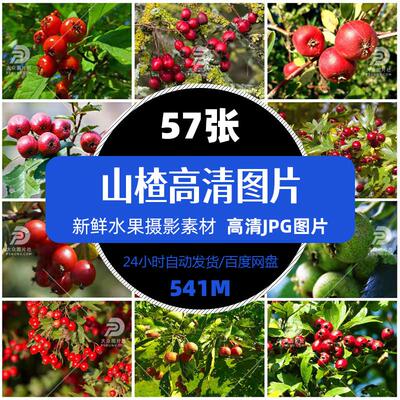 高清水果山楂摄影图片蔬菜果汁饮料促销单张psd设计海报精选素材