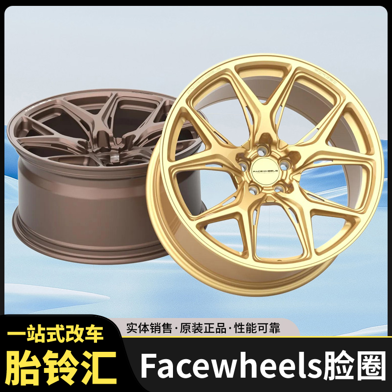 FACEWHEELS脸圈  FW1051款定制锻造轮圈一片式用德系日系美系车