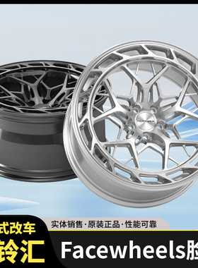 FACEWHEELS脸圈 FW-A1024款定制锻造轮圈一片式用德系日系美系车