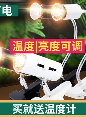 爬虫加热灯乌龟太阳晒背灯陆龟缸软管万向UVA+UVB3.0灯架灯夹保温