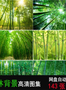 高清竹林自然风景图片竹林绿色竹子青竹翠竹PS合成背景高清素材