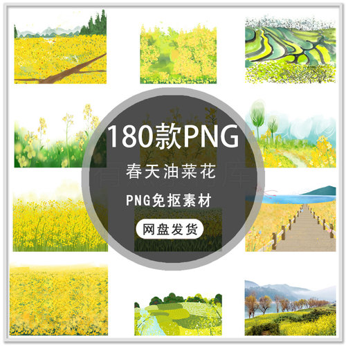 手绘春天油菜花花朵花卉油菜花田油菜花海插画背景PNG免抠素材
