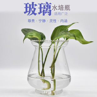 欧式 玻璃花瓶水培植物绿萝容器养花透明瓶子水生水养花卉器皿