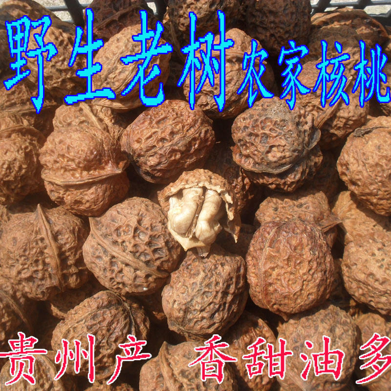新货核桃野生老树核桃贵州