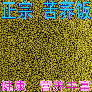 正宗高山苦荞饭 疙瘩 农家特产 苦荞米饭 黑苦乔饭 五谷杂粮粗粮