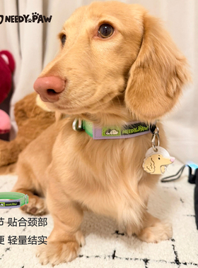 新品韩国Needypaw宠物项圈狗狗脖圈牵引绳搭配项圈独立ID标悬挂点