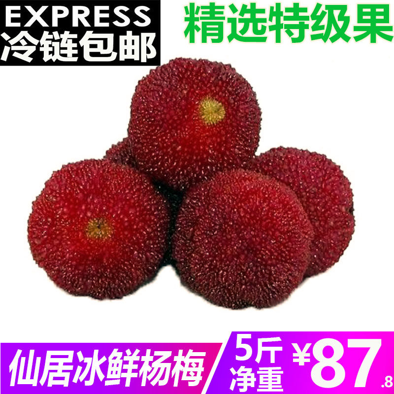 新鲜仙居东魁杨梅冷冻冰冻速冻泡酒5斤包邮孕妇现摘杨梅包邮