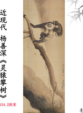 近现代杨善深灵猿攀树图国画