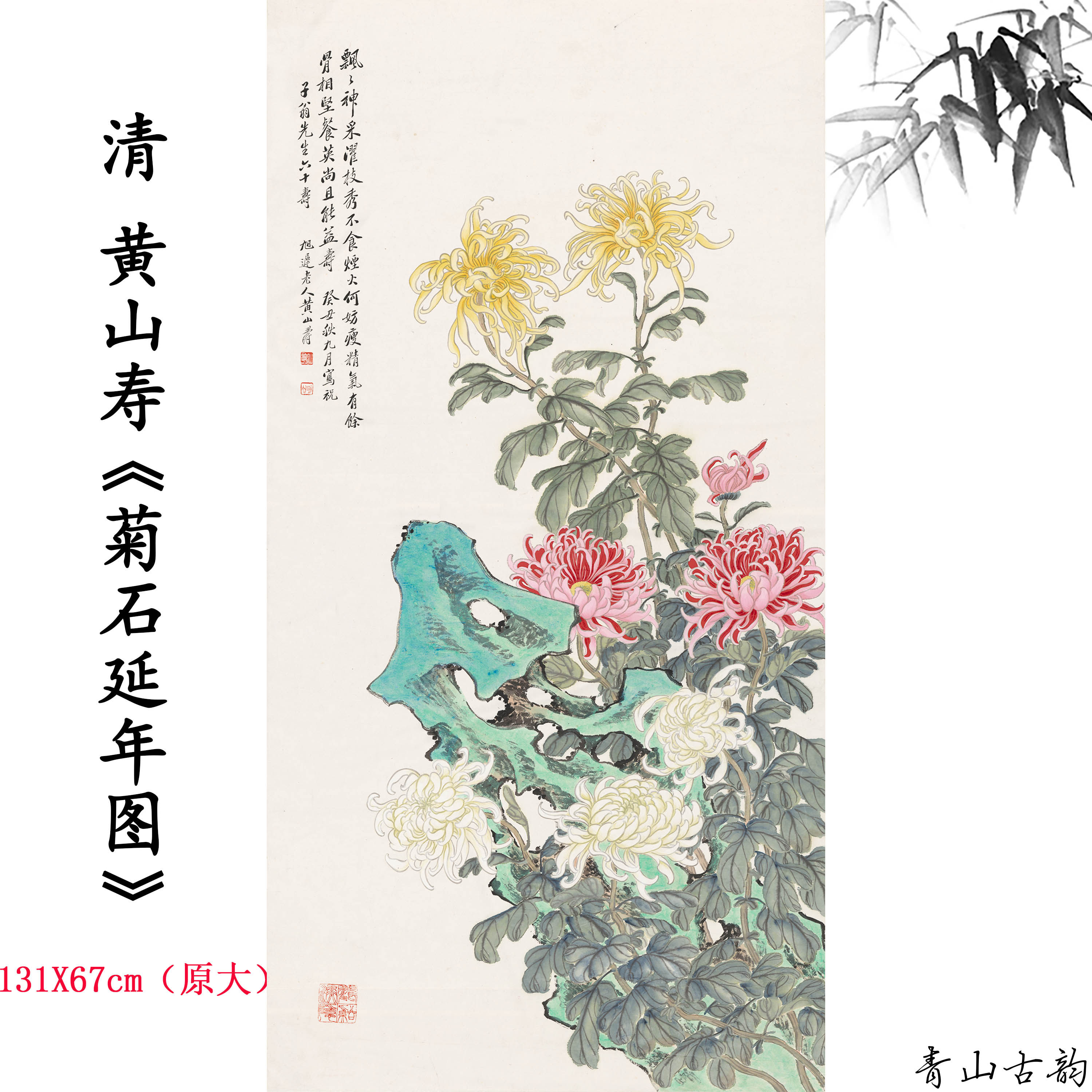 1:1清 黄山寿《菊石延年图》国画菊花装饰画高清微喷复制临摹范本