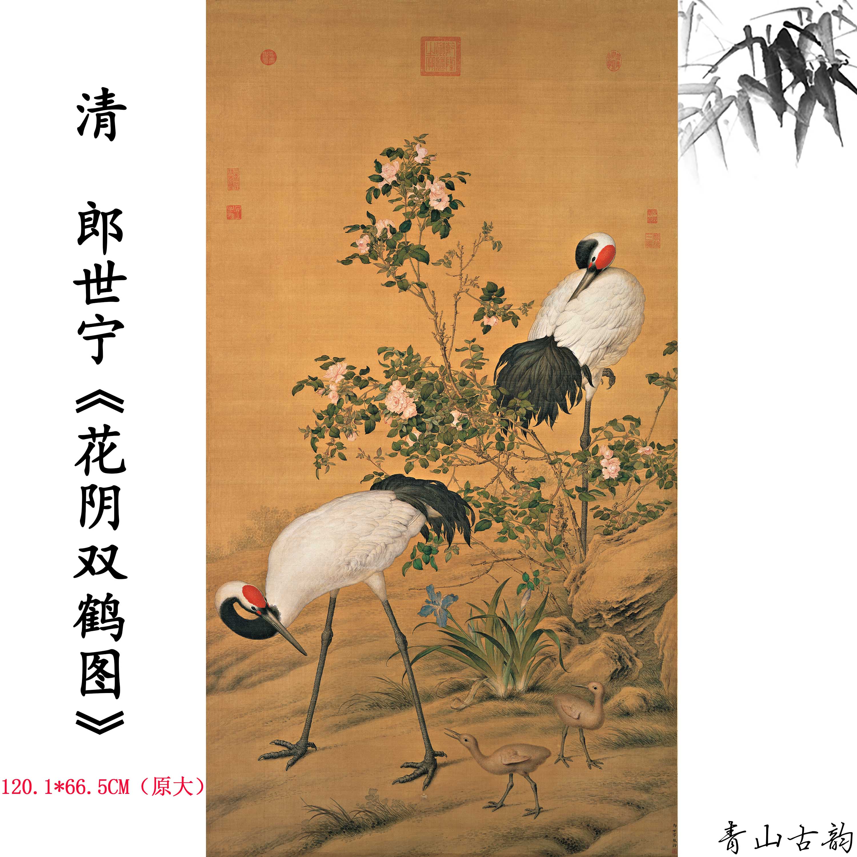 1:1清 郎世宁 花阴双鹤图轴玄关走廊装饰画高清微喷复制国画画芯图片