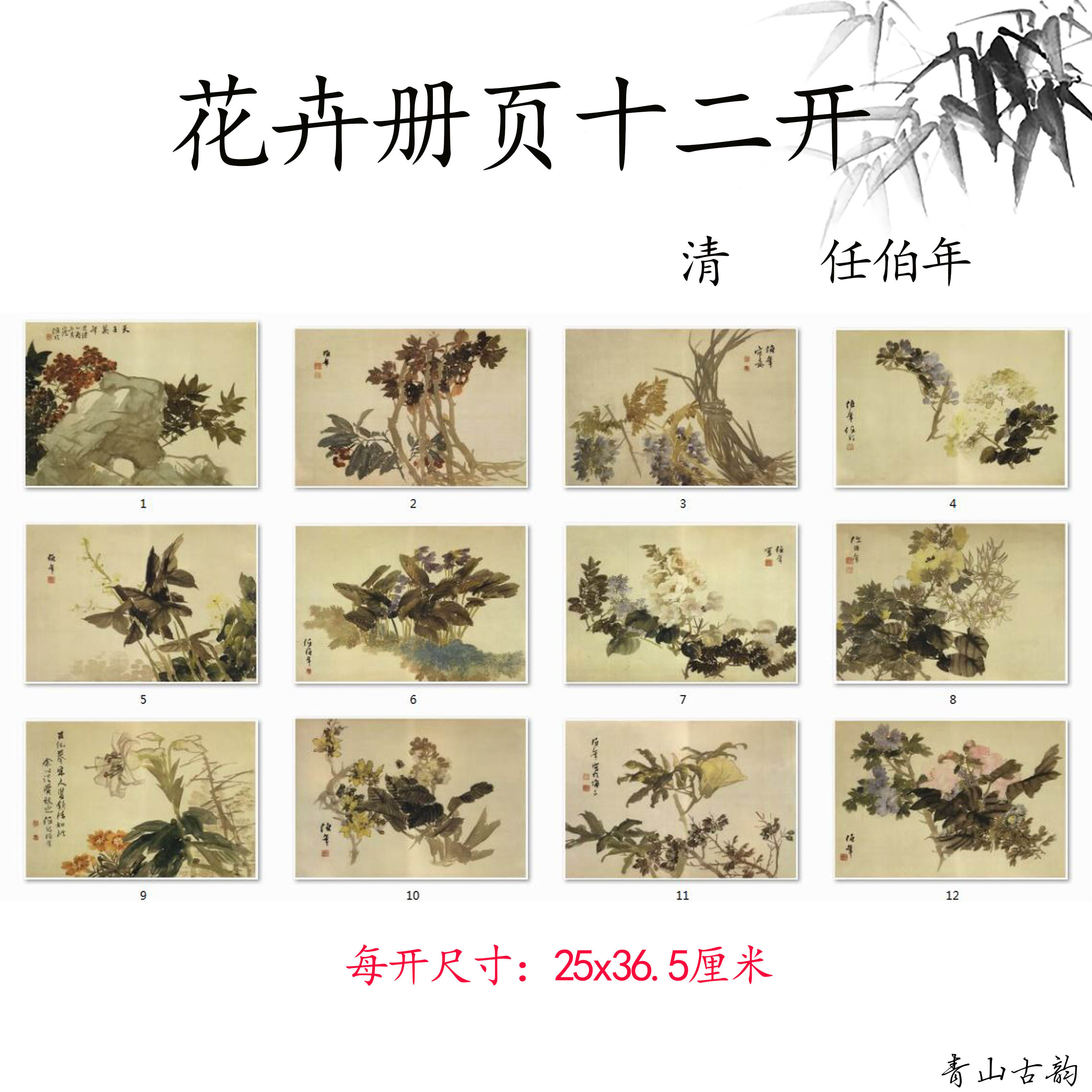 清 任伯年 花卉册页十二开国画水墨画高清微喷复制临摹教学素材