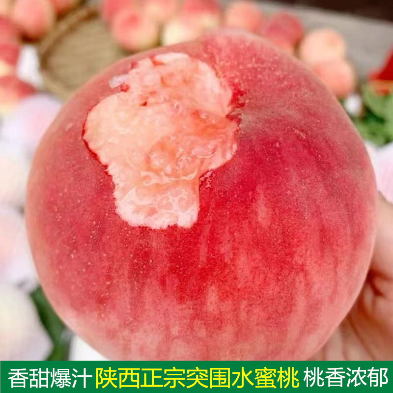 陕西突围水蜜桃香甜爆汁桃子孕妇新鲜水果甜桃软桃易撕皮蜜桃包邮