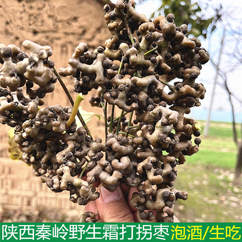 2026陕西秦岭霜打新鲜拐枣应季新鲜水果生吃泡酒万寿果鸡爪梨包邮