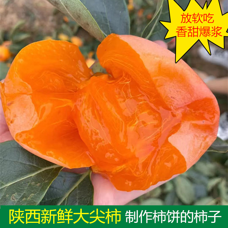 陕西富平大尖柿新鲜水果大柿子