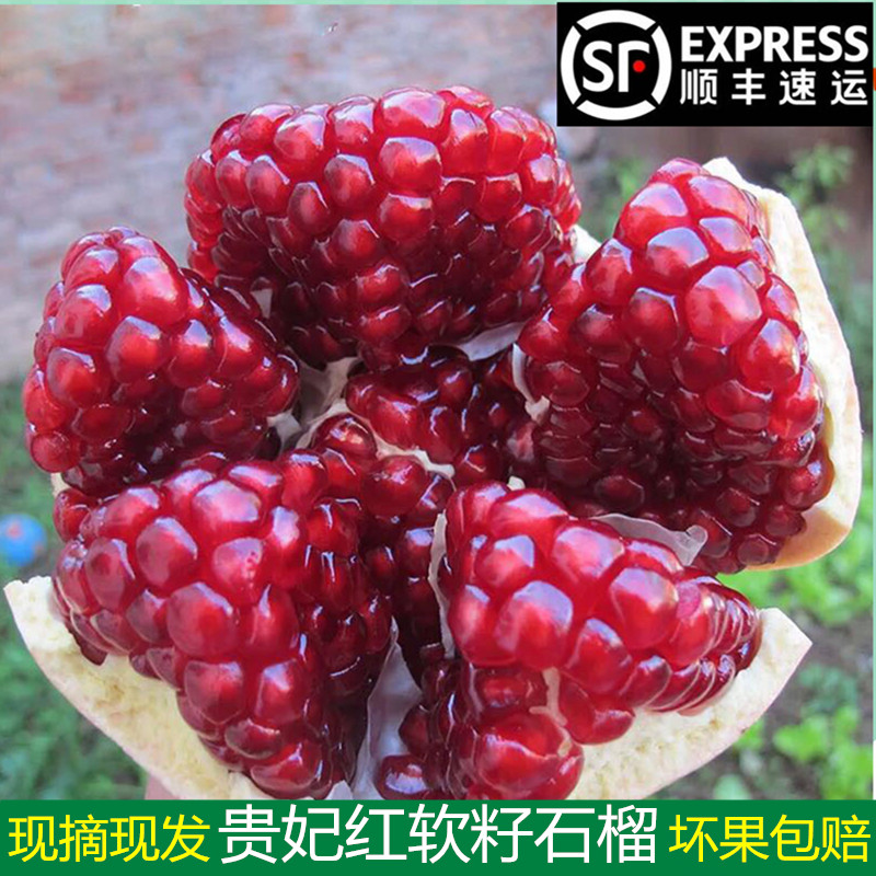 陕西贵妃红软籽甜石榴香甜多汁
