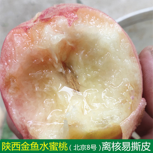 突围水蜜桃新鲜水果甜桃易撕皮