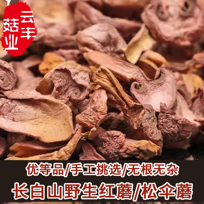 一级红蘑松伞蘑野生伞长白山蘑菇